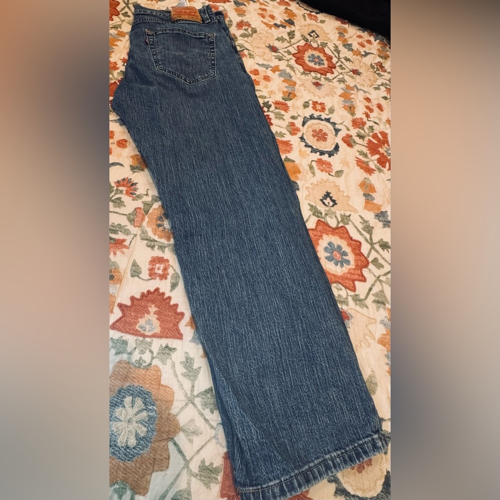 Levi's 505 Men's Straight Leg Jeans in Blue